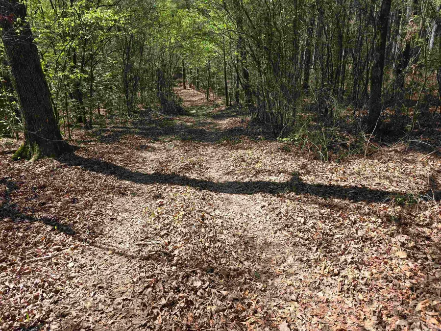 Address Withheld By Seller, Murfreesboro, AR 71958 - #2