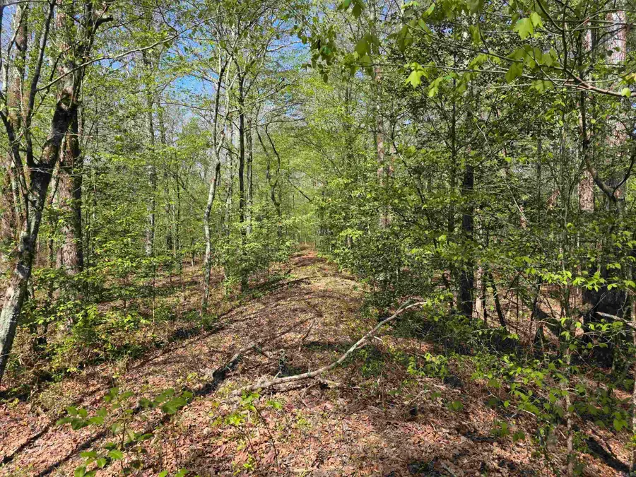 Address Withheld By Seller, Murfreesboro, AR 71958 - #3