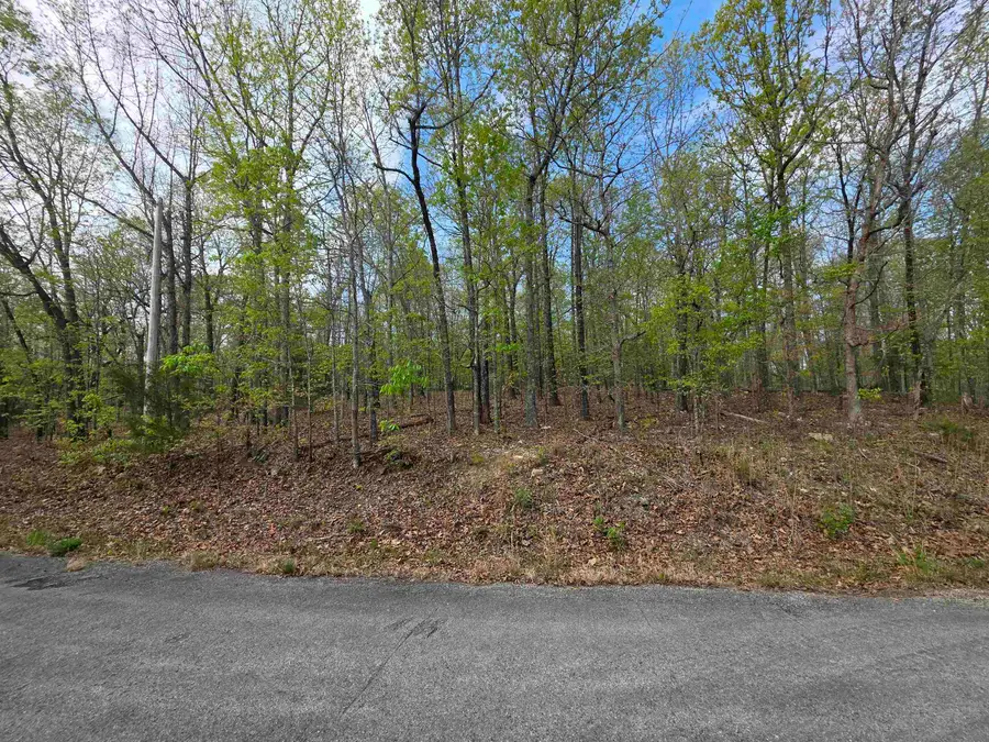 L-16 B-8 Talahi Drive, Cherokee Village, AR 72529 - #2