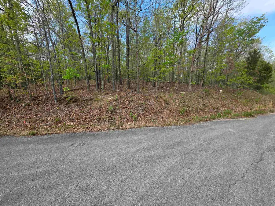 L-16 B-8 Talahi Drive, Cherokee Village, AR 72529 - #3