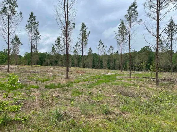 0 Grant 433 (tract B), Sheridan, AR 72150