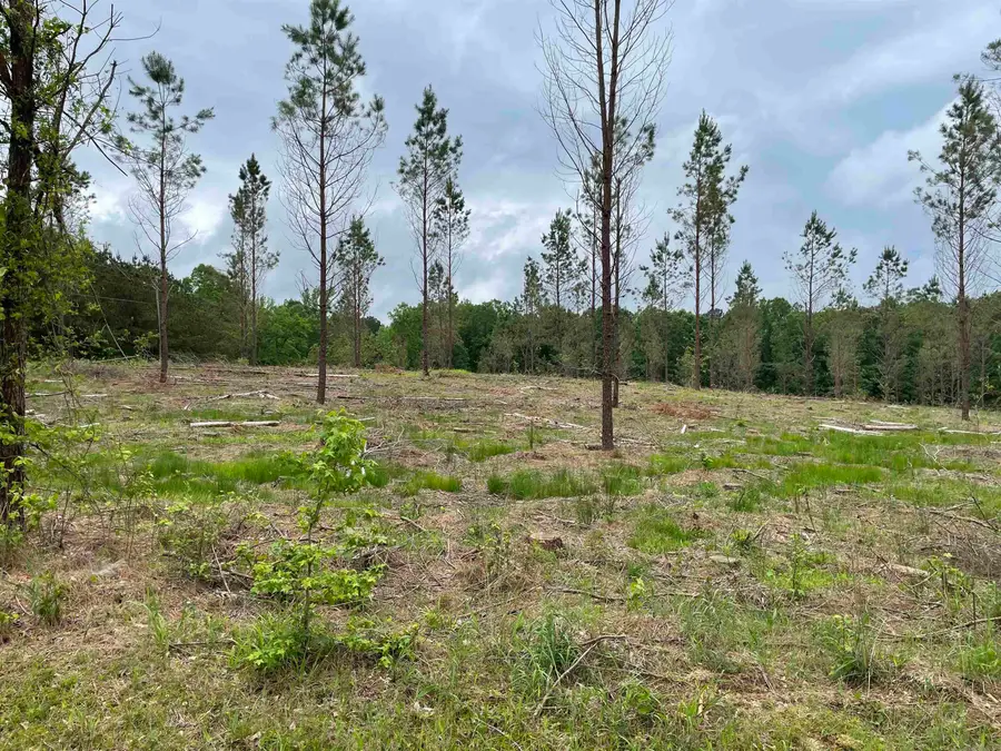 0 Grant 433 (tract B), Sheridan, AR 72150 - #2
