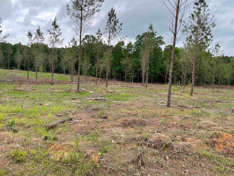 0 Grant 433 (tract B), Sheridan, AR 72150 - #3