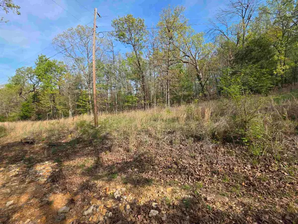 L-10 B-2 Rocky Top Trail, Ozark Acres, AR 72482
