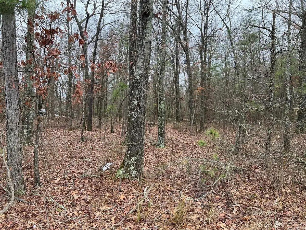 00 Ridgeway Road, Pine Bluff, AR 71603 - #1