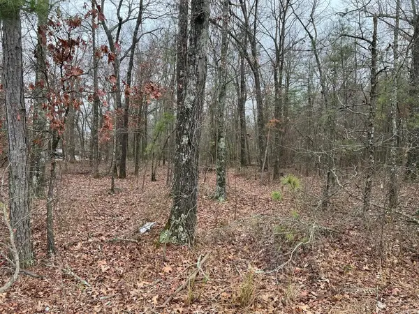 00 Ridgeway Road, Pine Bluff, AR 71603