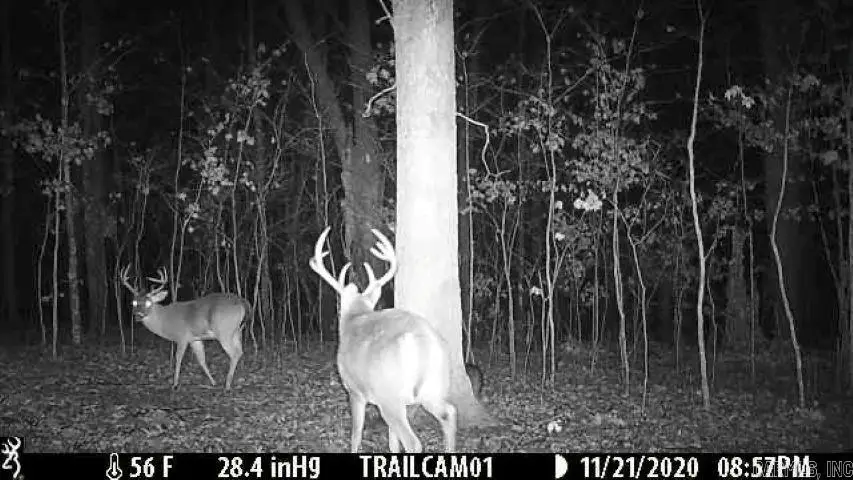 000 Fs 1548 Forest, Pettigrew, AR 72752 - #3