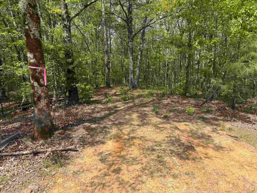 3.00 Oak Creek Lane, Harrisburg, AR 72432 - #2