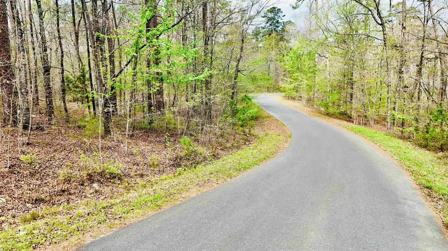 Dominar Way, Hot Springs Village, AR 71909 - #2