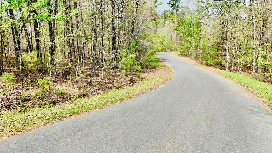 Dominar Way, Hot Springs Village, AR 71909 - #3