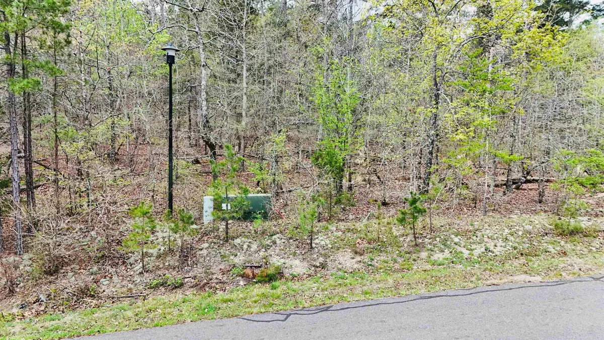 00 Cetrero Way, Hot Springs Village, AR 71909 - #1