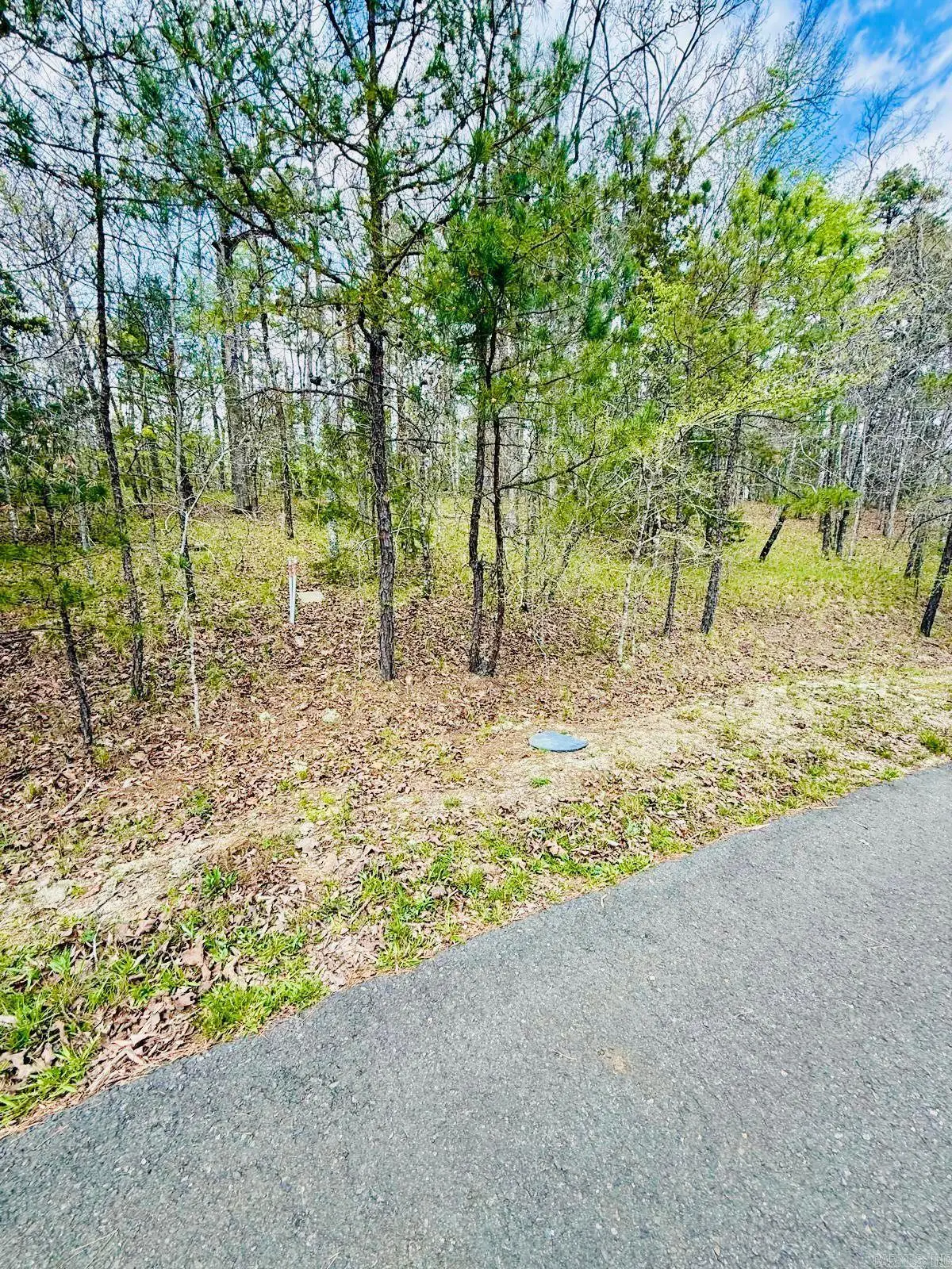 00 Halago Place, Hot Springs Village, AR 71909 - #1