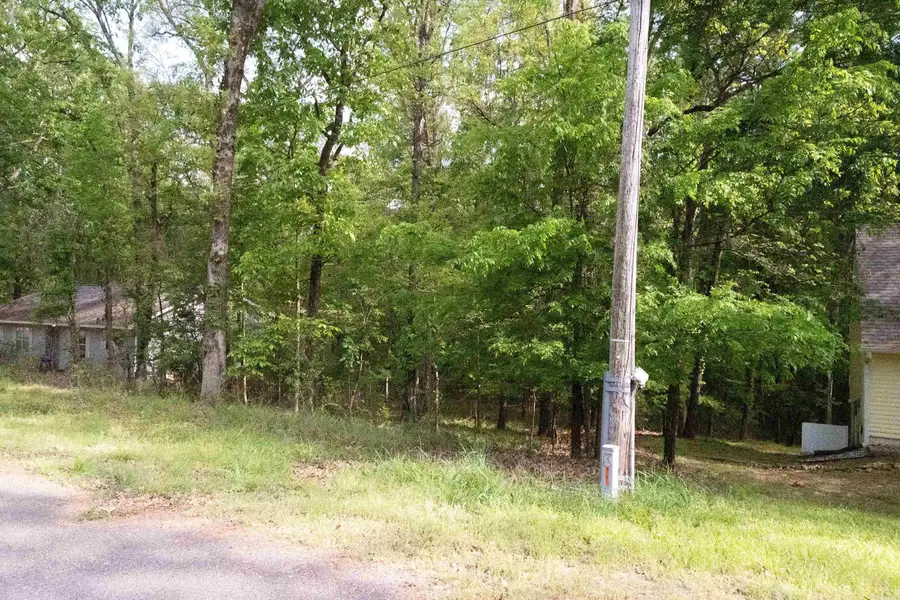 Lot 1978 Apollo Court, Hot Springs, AR 71913 - #2