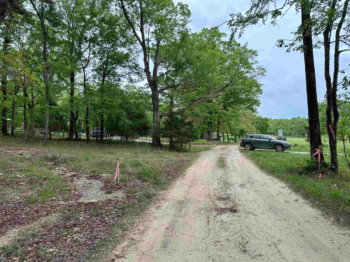 Asbury Road, Magnet Cove, AR 72104 - #1