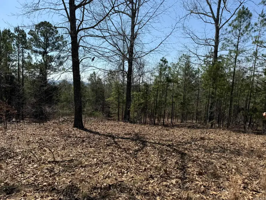 000 Foxcroft Lane, Elizabeth, AR 72531 - #3