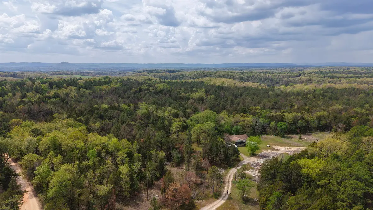 703 Old Dolph Road, Calico Rock, AR 72519 - #1