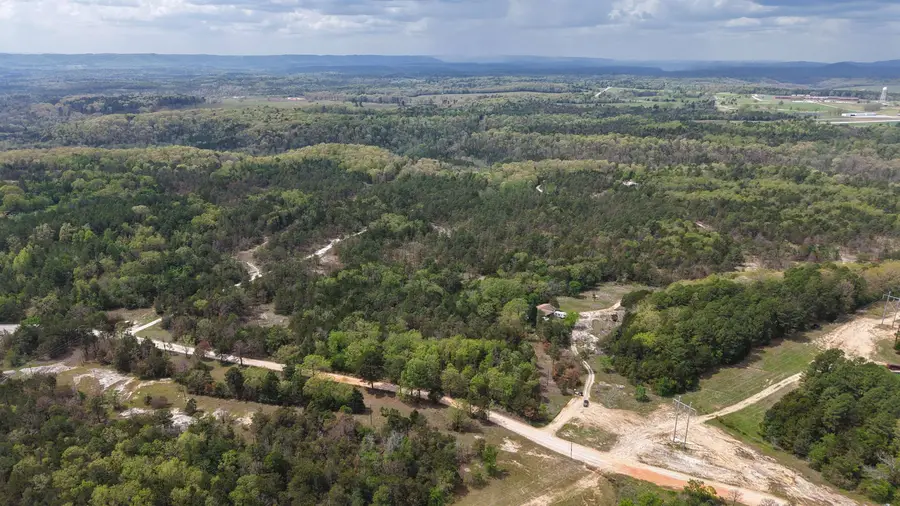 703 Old Dolph Road, Calico Rock, AR 72519 - #2