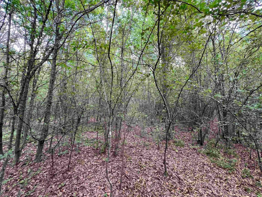 269 Walker Rd, Higginson, AR 72068 - #3