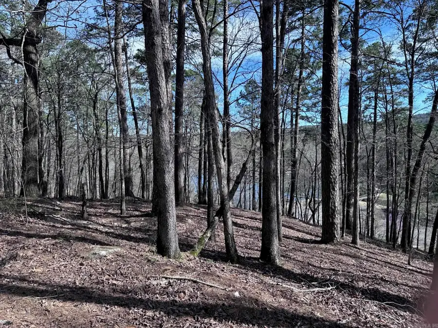 42 Badajoz Way, Hot Springs Village, AR 71909 - #2
