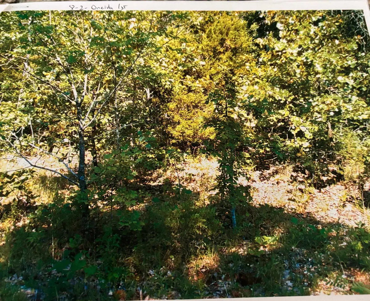 TBD Wahoo Drive, Cherokee Village, AR 72529 - #1