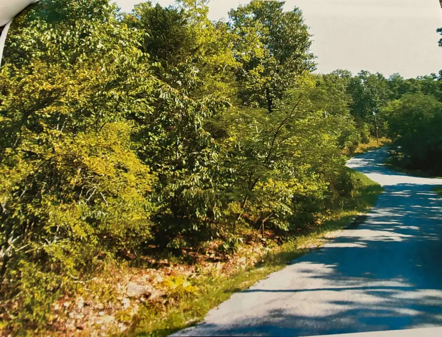 TBD Wahoo Drive, Cherokee Village, AR 72529 - #3