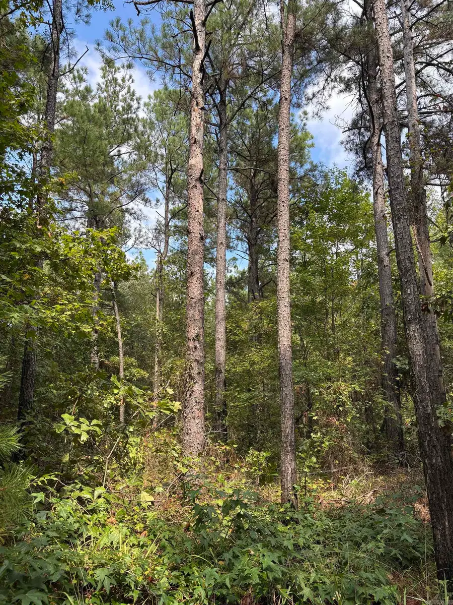 000 Avalon Road, Star City, AR 71667 - #3