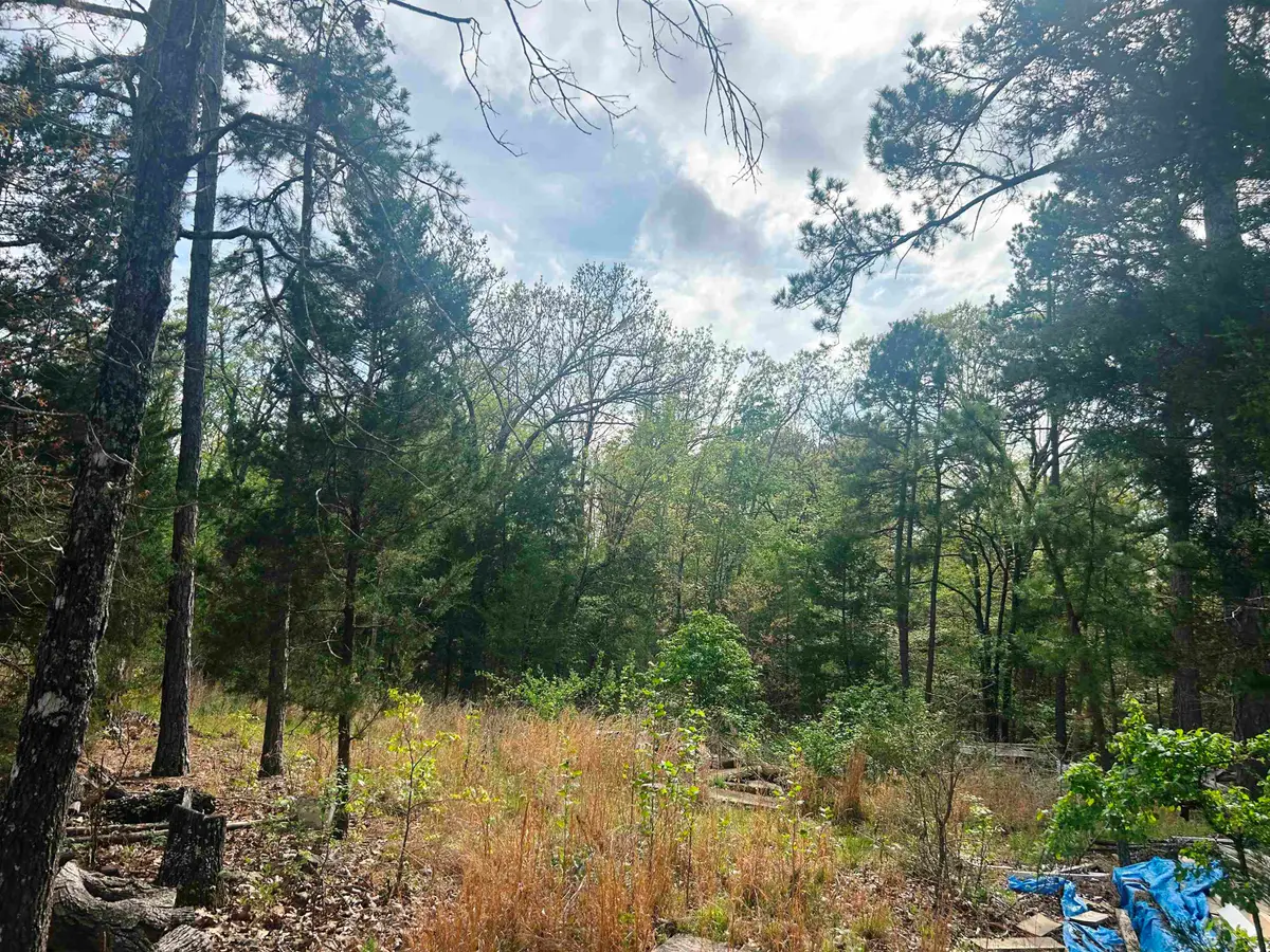 Block 55 Doe Run Circle, Glencoe, AR 72539 - #1
