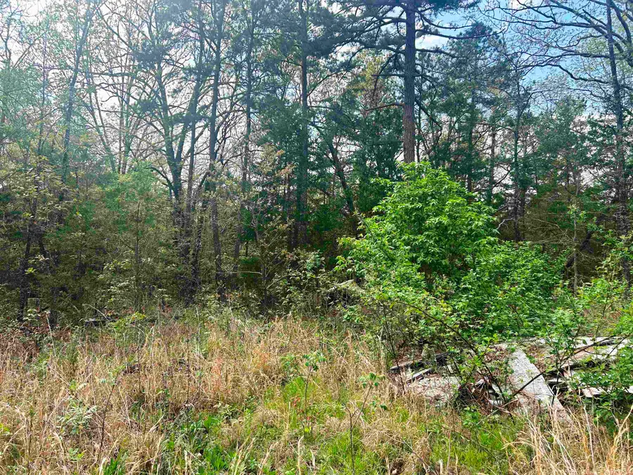 Block 55 Doe Run Circle, Glencoe, AR 72539 - #3