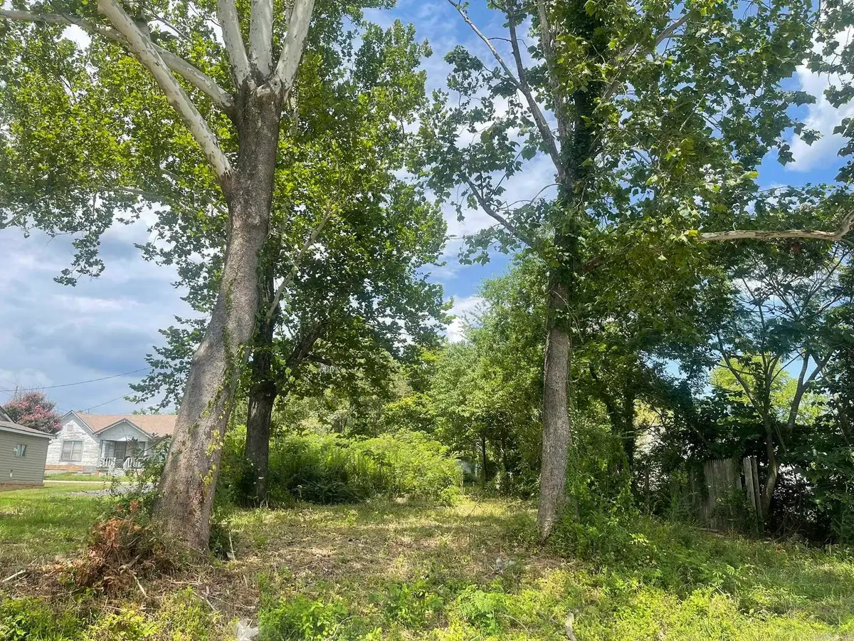 906 Elm Avenue, Mena, AR 71953 - #1