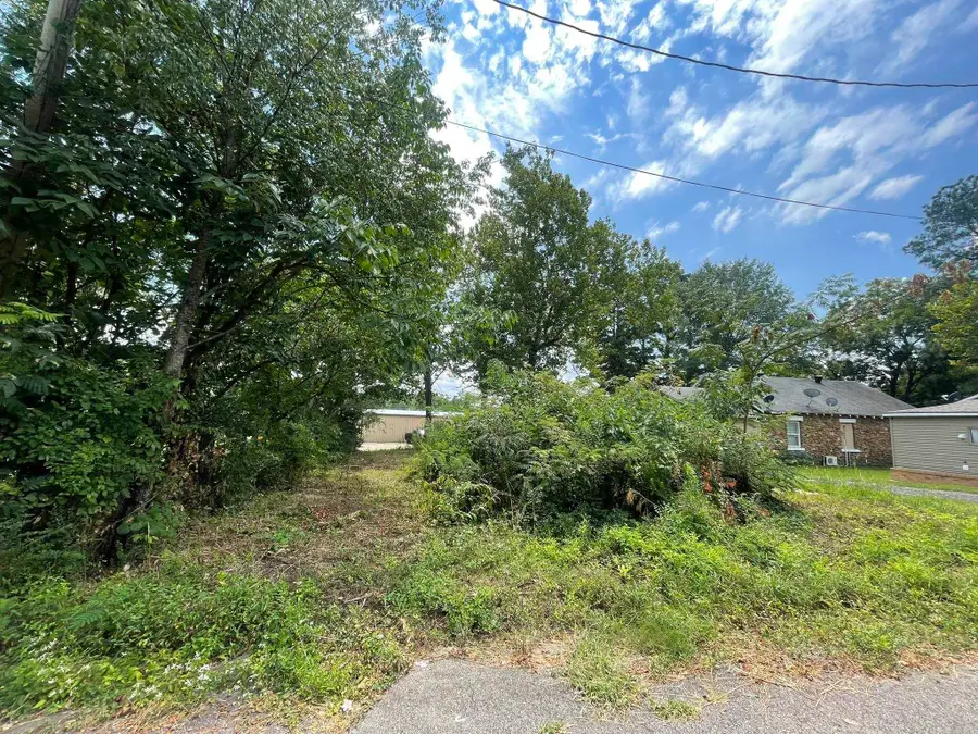 906 Elm Avenue, Mena, AR 71953 - #2