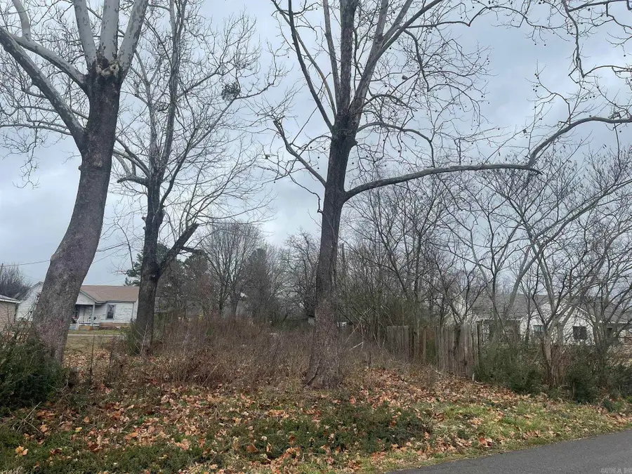 906 Elm Avenue, Mena, AR 71953 - #3