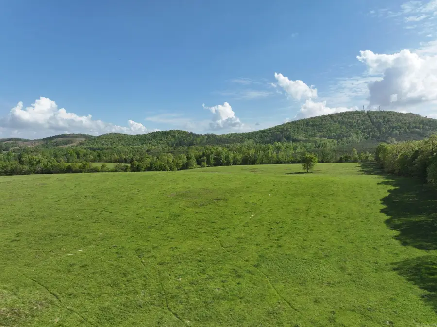 TBD Polk Road 16, Cove, AR 71937 - #2