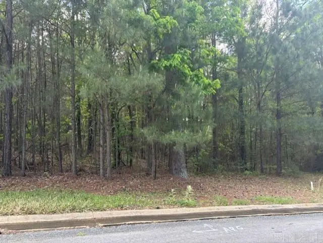 Lot 34 Evergreen, El Dorado, AR 71730 - #1