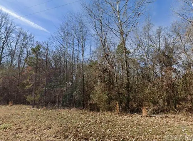 Unk Bay Ridge Drive, Dardanelle, AR 72834 - #3