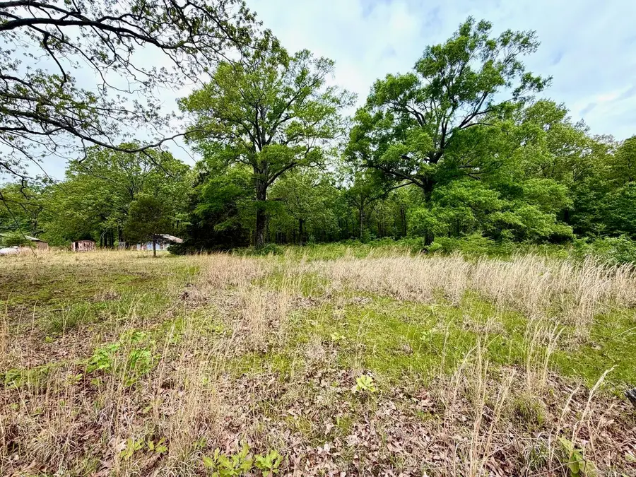 11123 Short Marche Road, North Little Rock, AR 72113 - #2