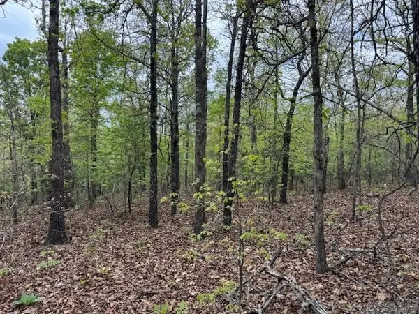 TBD Wirth Rd, Mammoth Spring, AR 72554