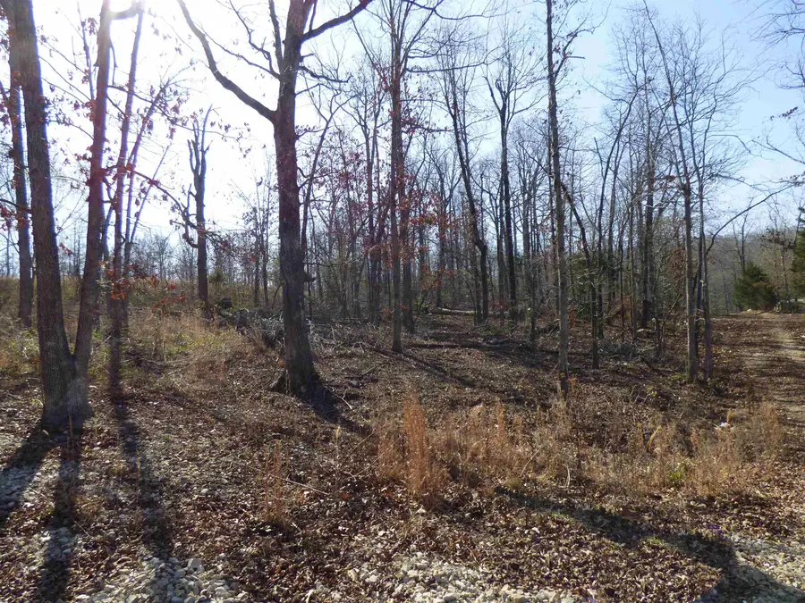 42 Chisolm Trail, Williford, AR 72482 - #2