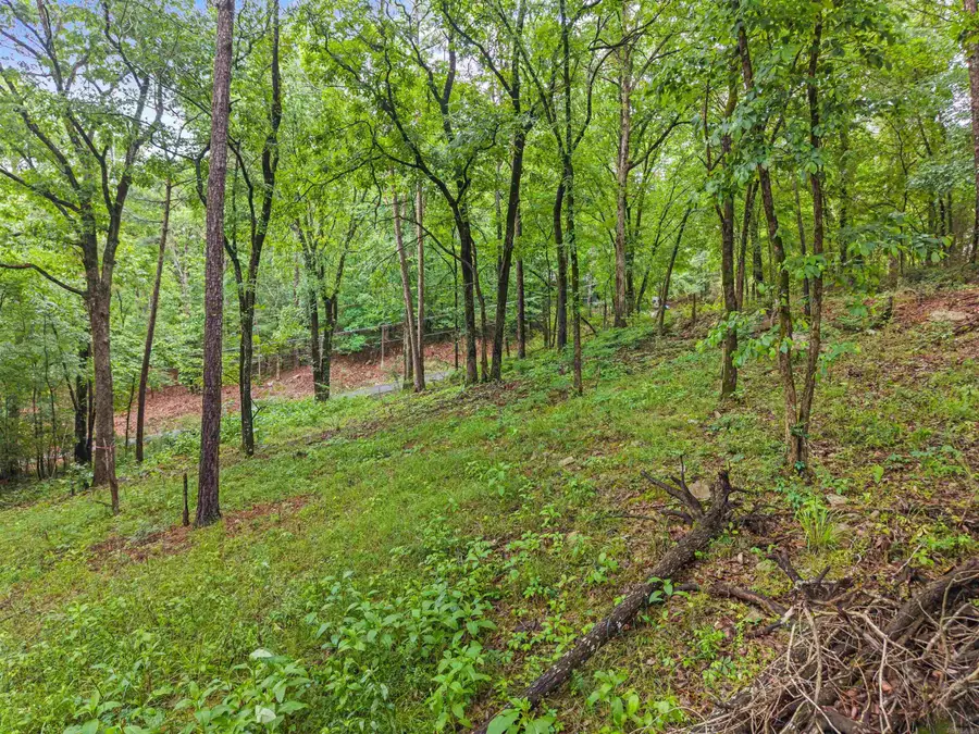 xxx Leemar Place, Hot Springs, AR 71901 - #3