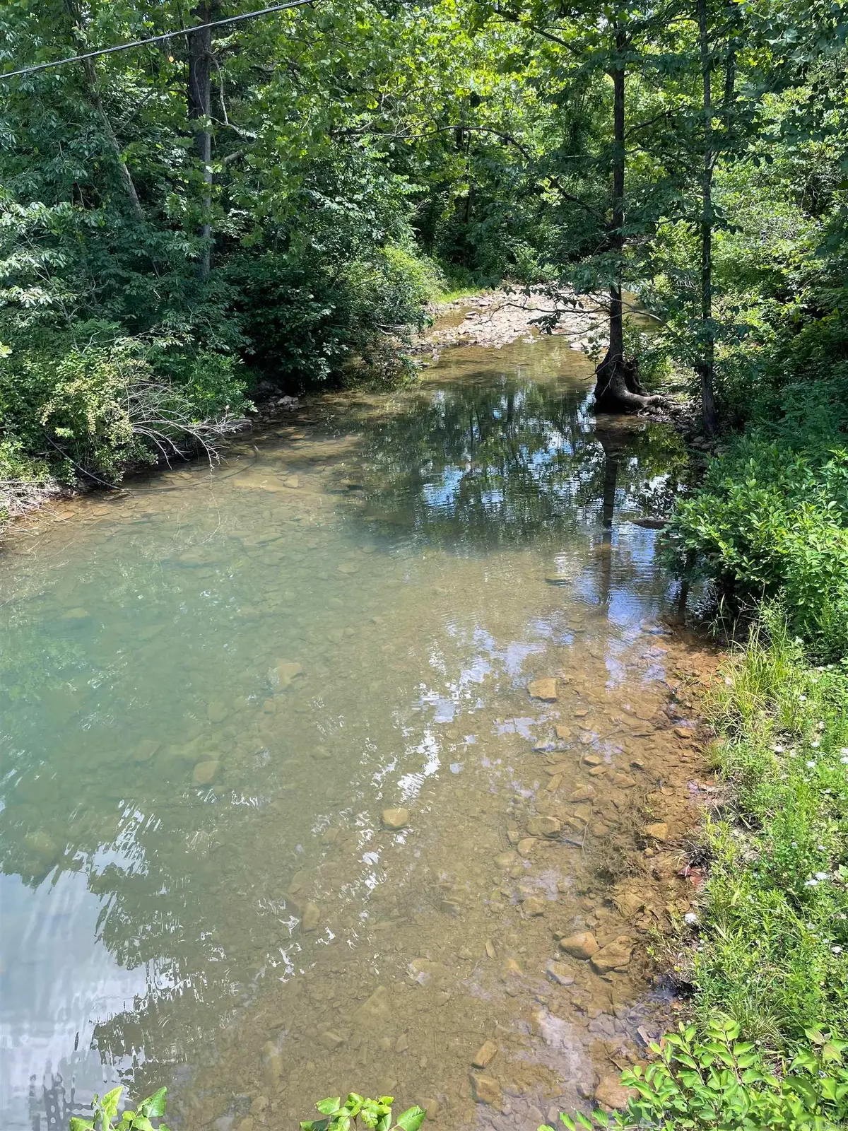 1315 Old Hwy 66, Leslie, AR 72645 - #1