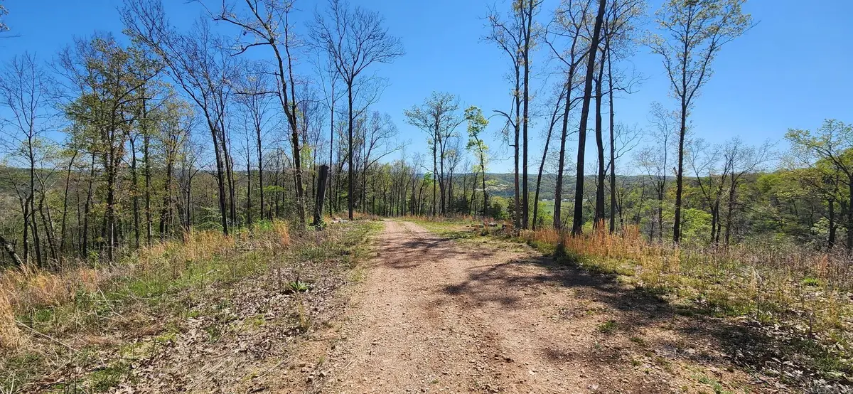 0 Grandpa Jones Road, Mountain View, AR 72560 - #1