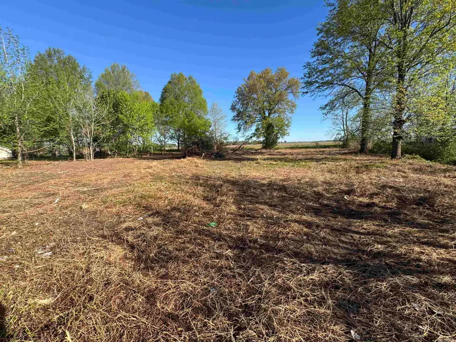 Lot 57 Cr 236, Cherry Valley, AR 72324 - #3
