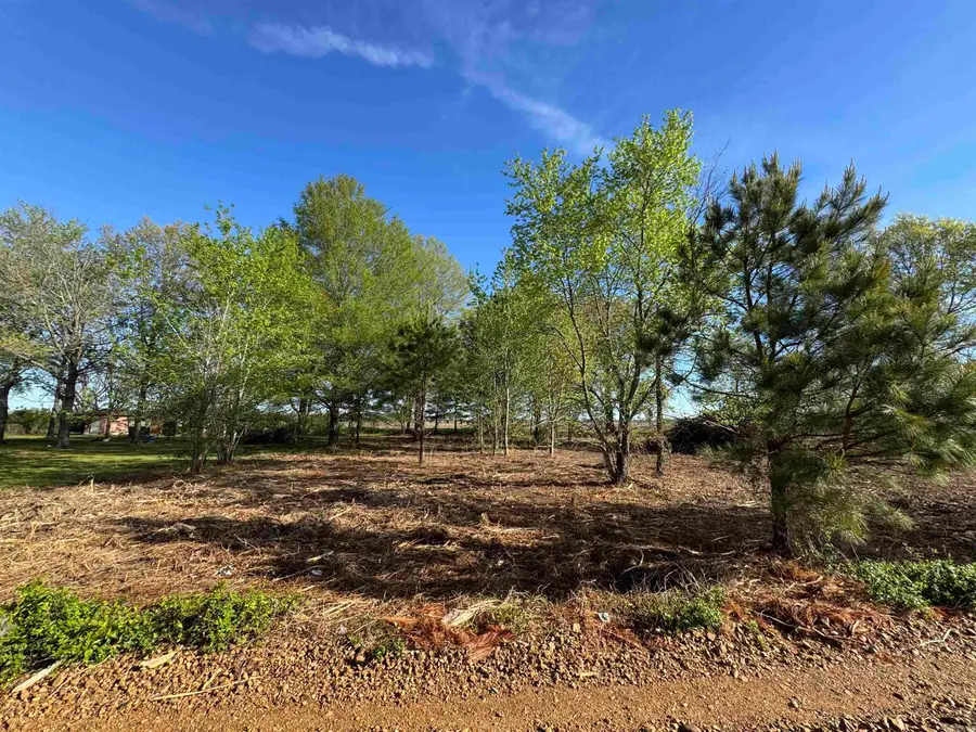 Lot 58 Cr 236, Cherry Valley, AR 72324 - #2