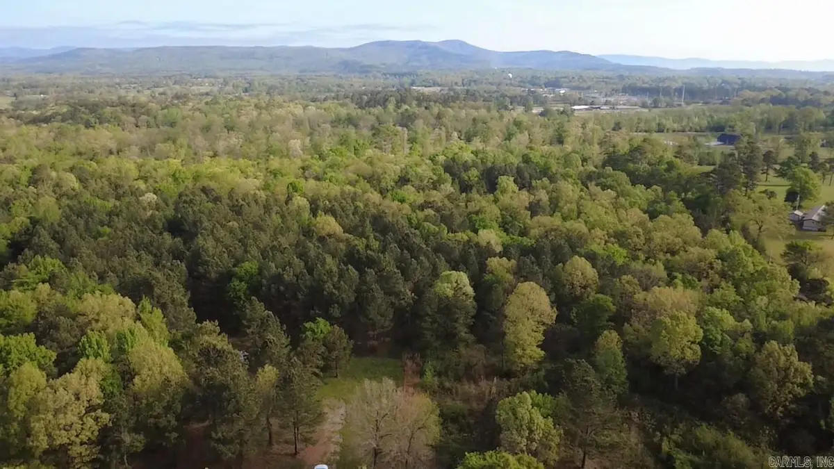 TBD Suzie Ln, Mena, AR 71953 - #1