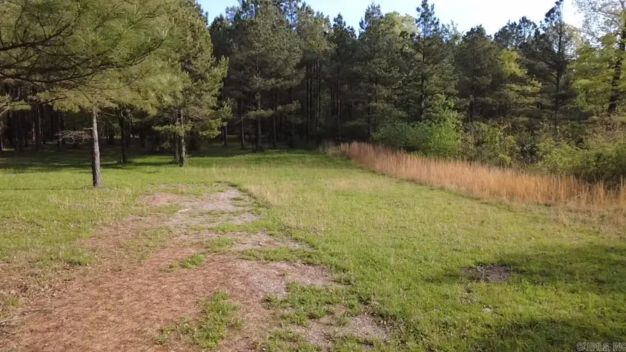 TBD Suzie Ln, Mena, AR 71953 - #2