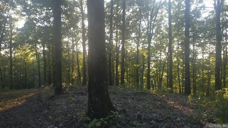 Lot Q Hwy 8 E, Glenwood, AR 71943 - #3