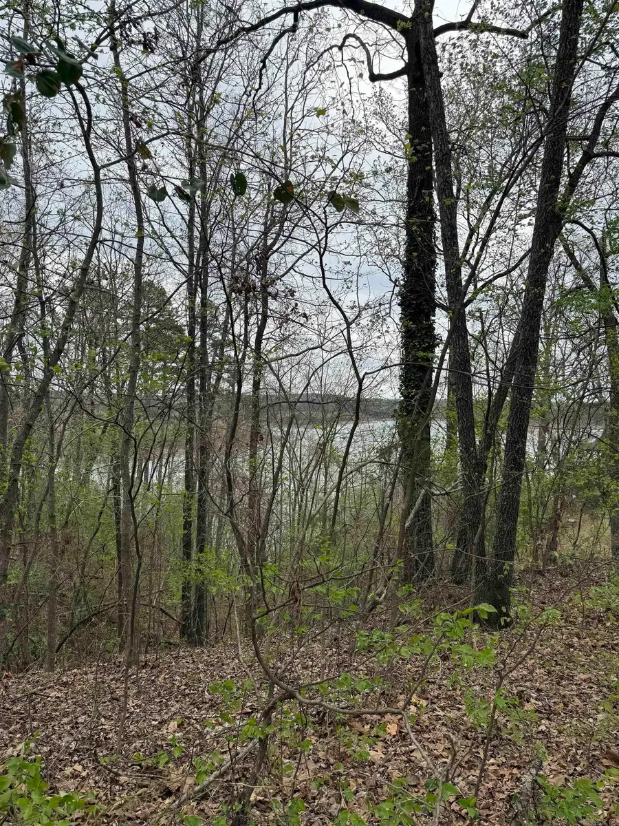 00 Klondike Road, Clinton, AR 72031 - #2