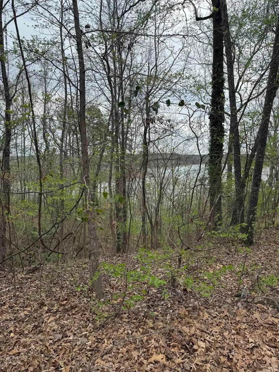 00 Klondike Road, Clinton, AR 72031 - #3