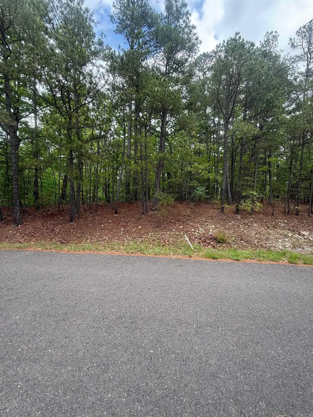 37 Dominar Way, Hot Springs Village, AR 71909 - #1