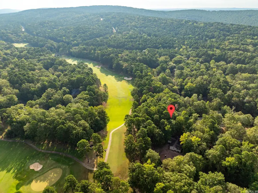 x Castillo Lane, Hot Springs Village, AR 71909 - #3