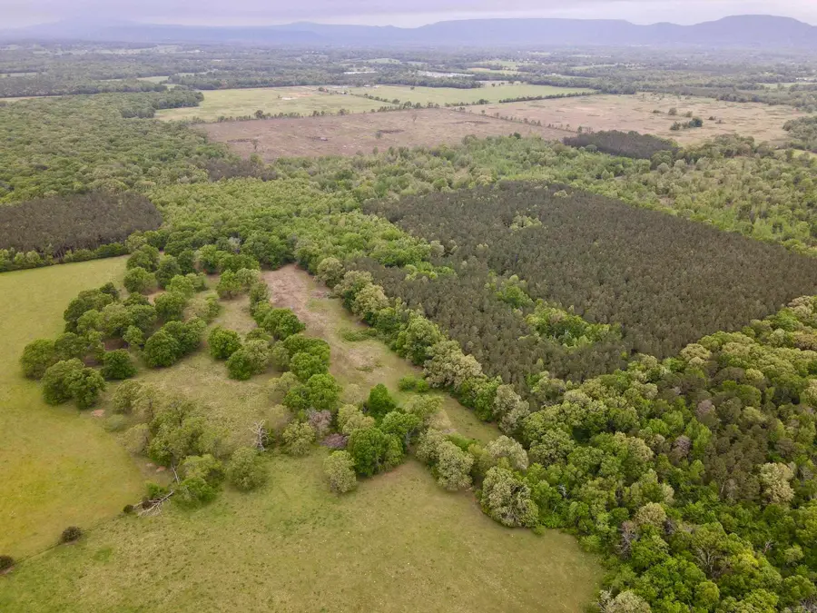 Address Withheld By Seller, Dardanelle, AR 72834 - #2